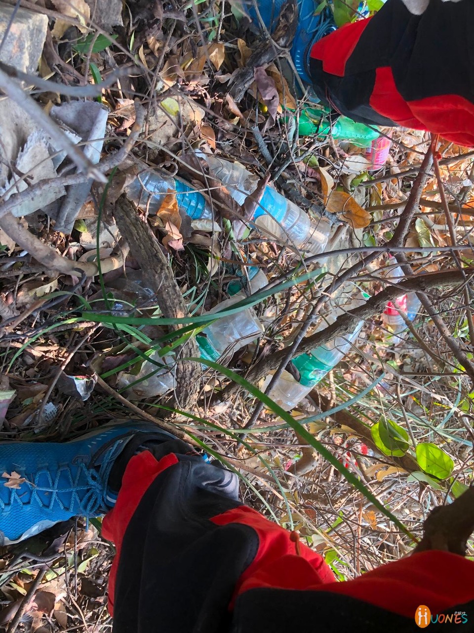 0D4178A4-7D60-4AA2-827C-AC6B5341201A