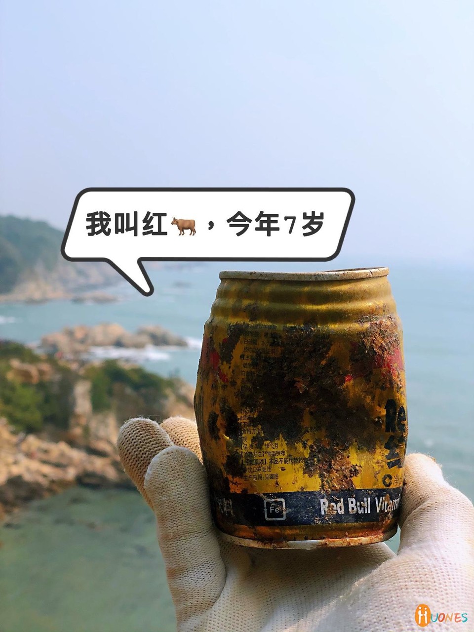 B996B63F-75A7-443C-9BE3-92B6F4E16708