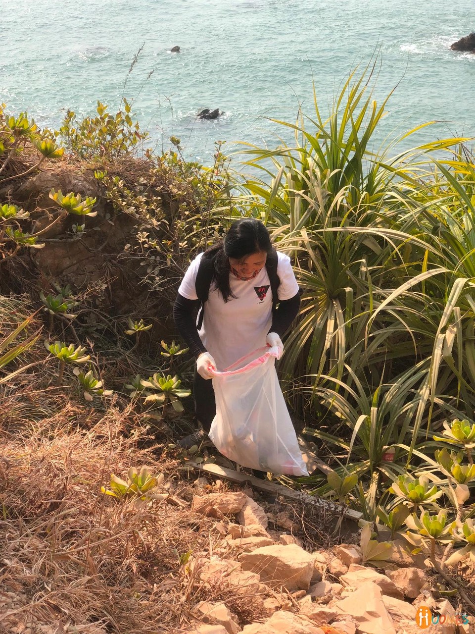 D11401C7-7807-4D6C-BF53-5F4981746A41