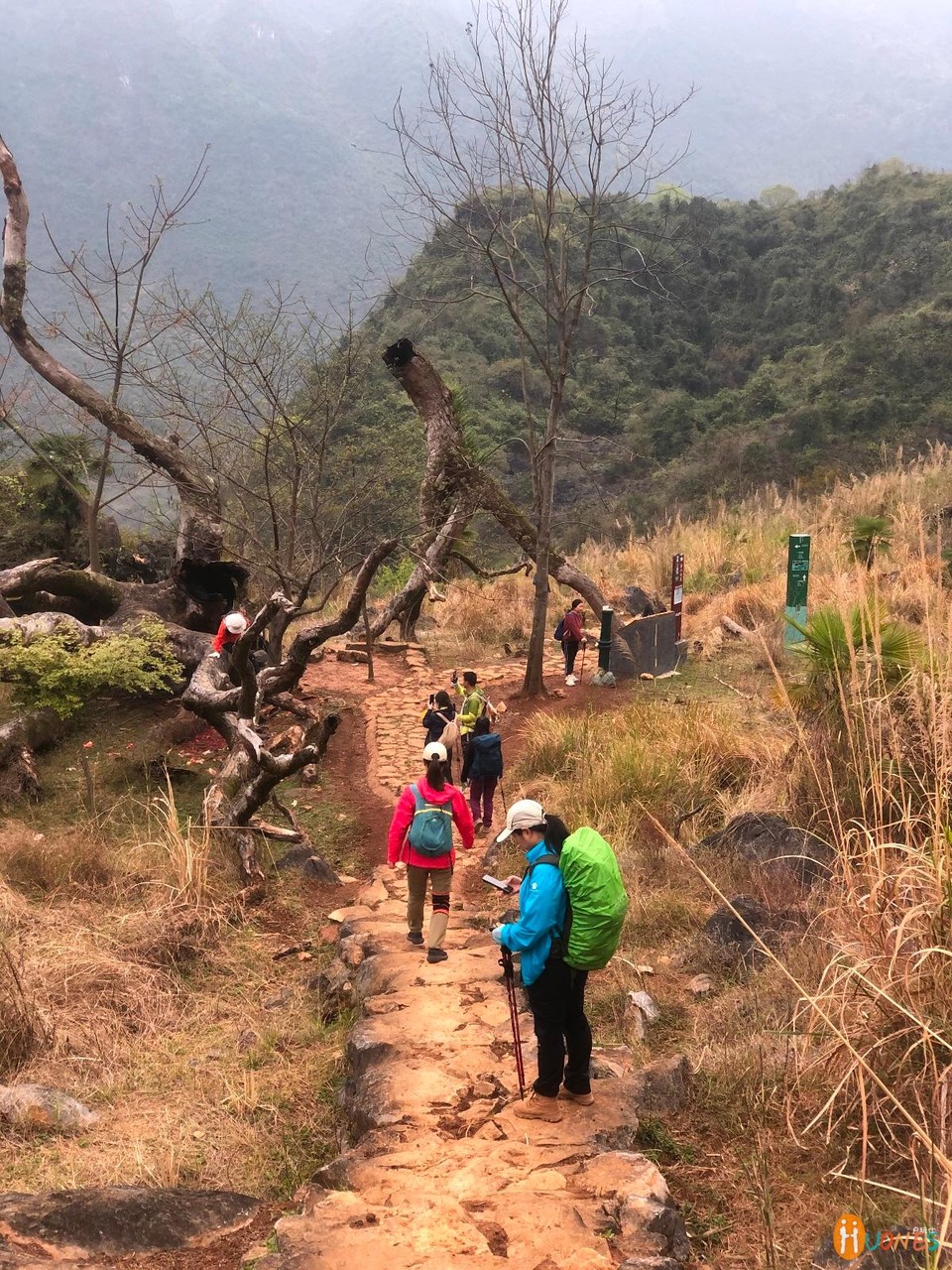 0253EC25-DF10-4784-884E-3BE59E357071