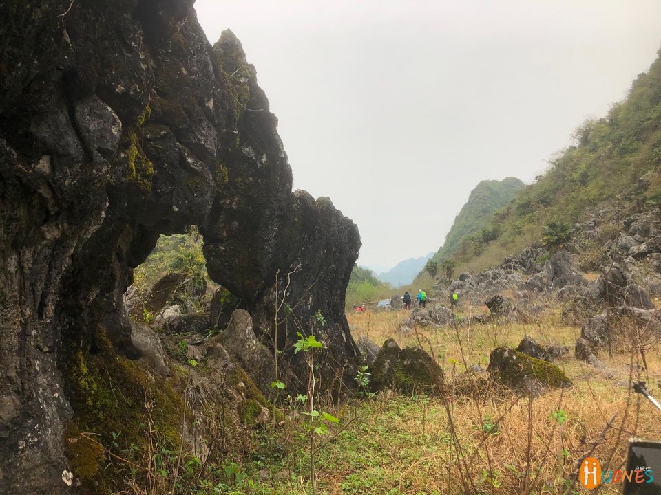 A9B77625-B800-4B4E-9A31-1DE3A69991EC