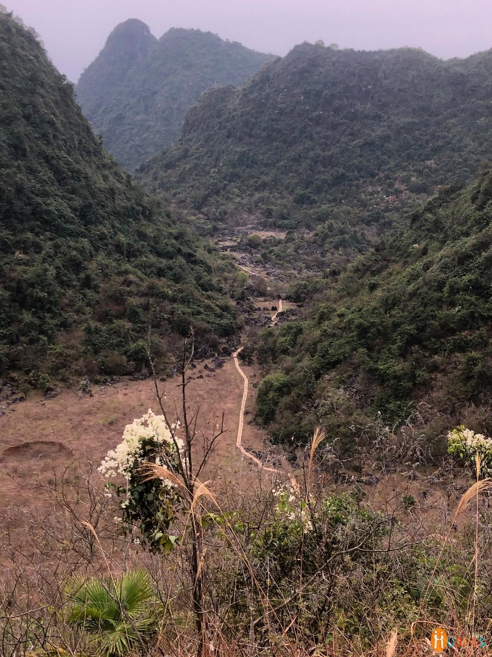 A238BF14-BE6E-42FD-B7DD-634F363DC837