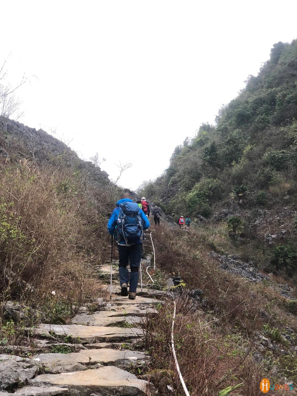 2F4ED1B5-305E-417D-B327-D7ED854D6AD3