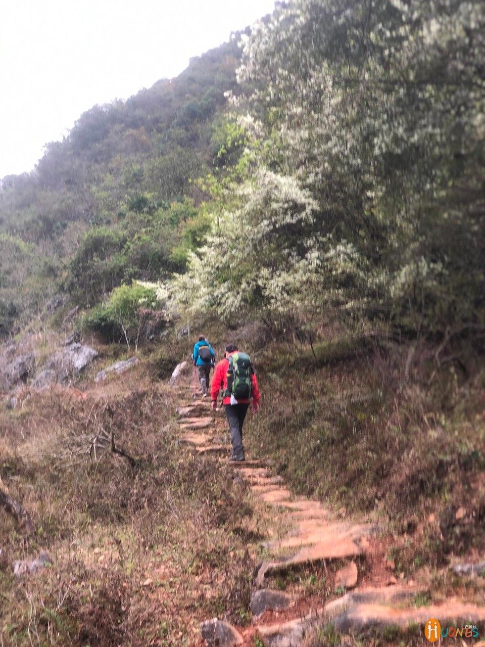 6E3397A9-9D5C-4942-B06D-EE59F238AF90