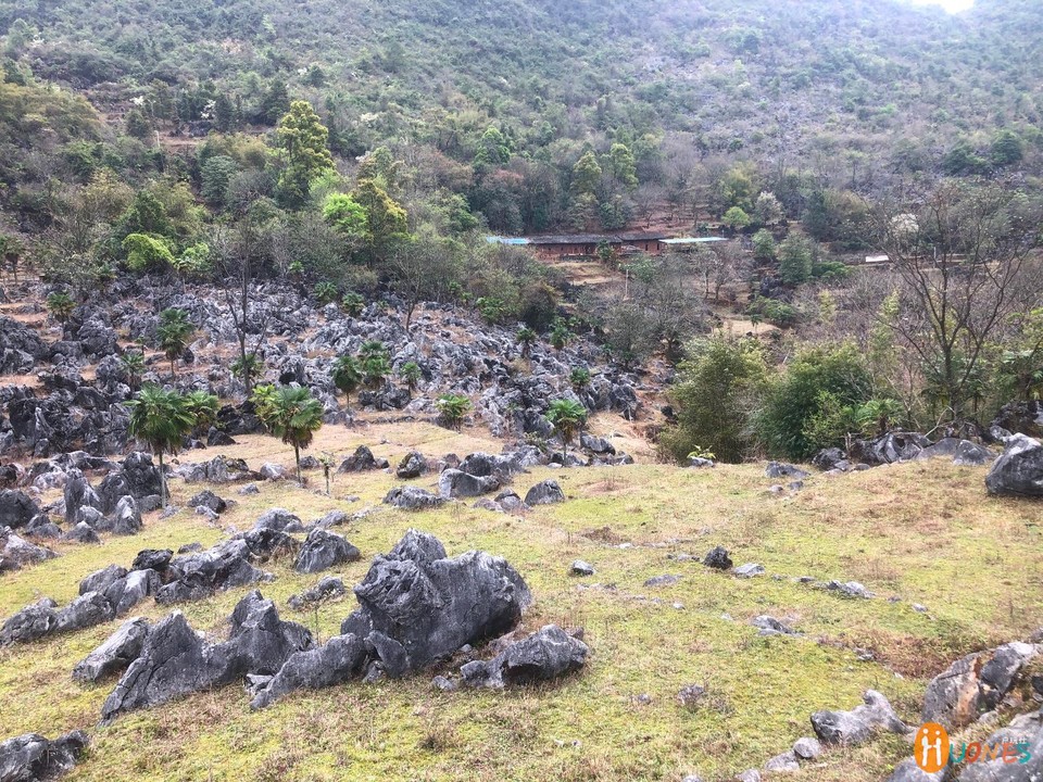 D719ABA7-9A61-4990-B7E1-A58EEB8B264B