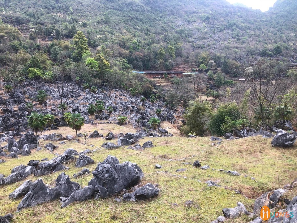 6D44BE9A-5438-419C-80CA-B428FFA50840