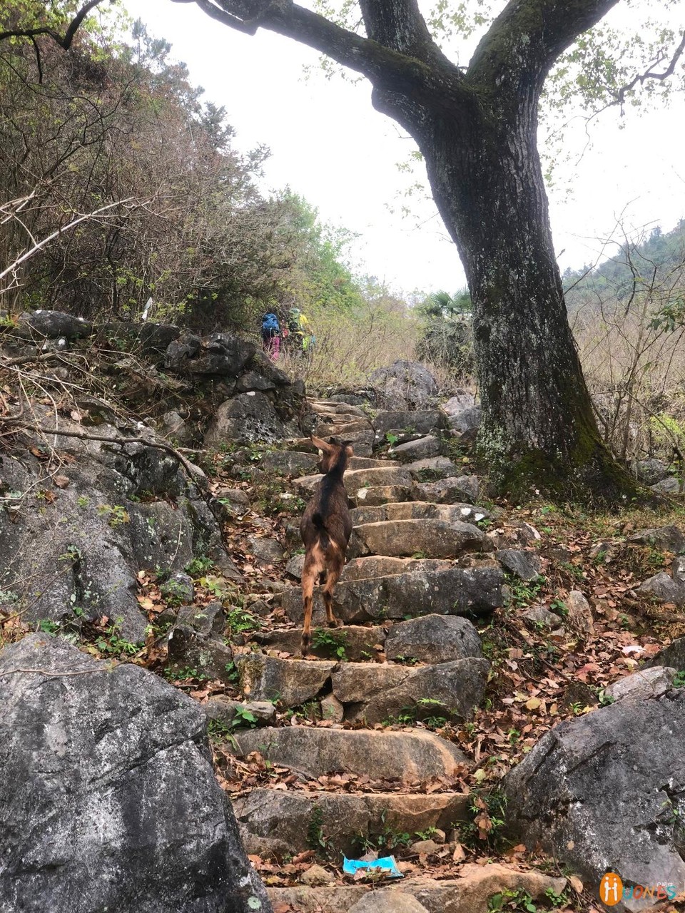 794B9777-074B-4CAF-A201-560755BE5D4D