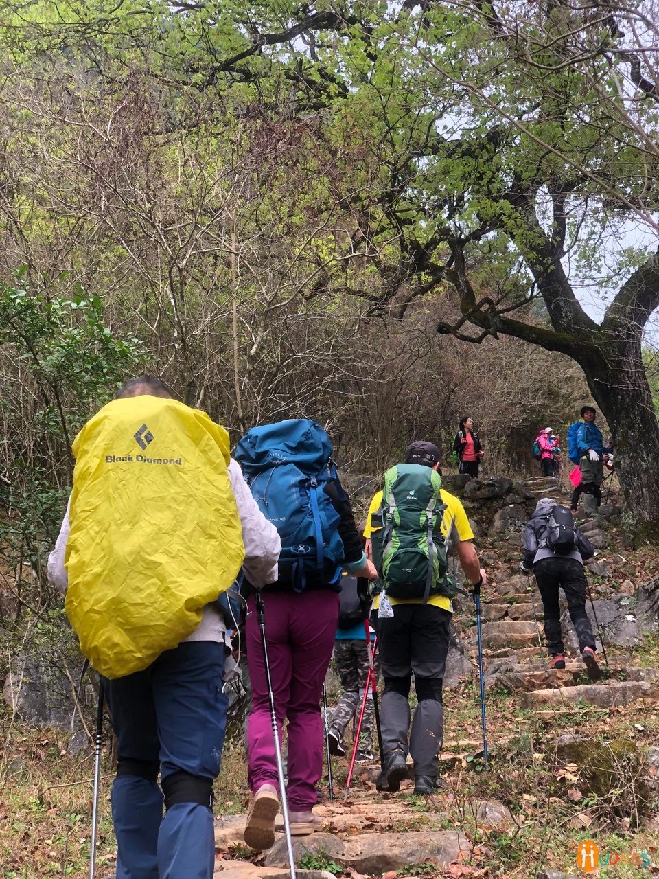 1E8C58FF-1055-4FC2-A730-24EC7F7B6C57