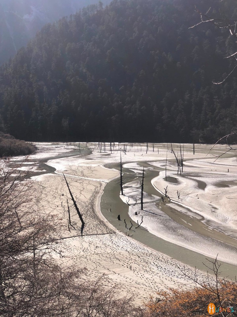 58A777A6-D1BD-4613-AD6D-B9397AF78104