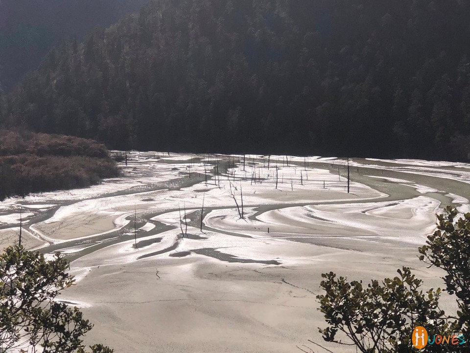 6F2D1911-C863-408F-ACB1-519F7848F1B3