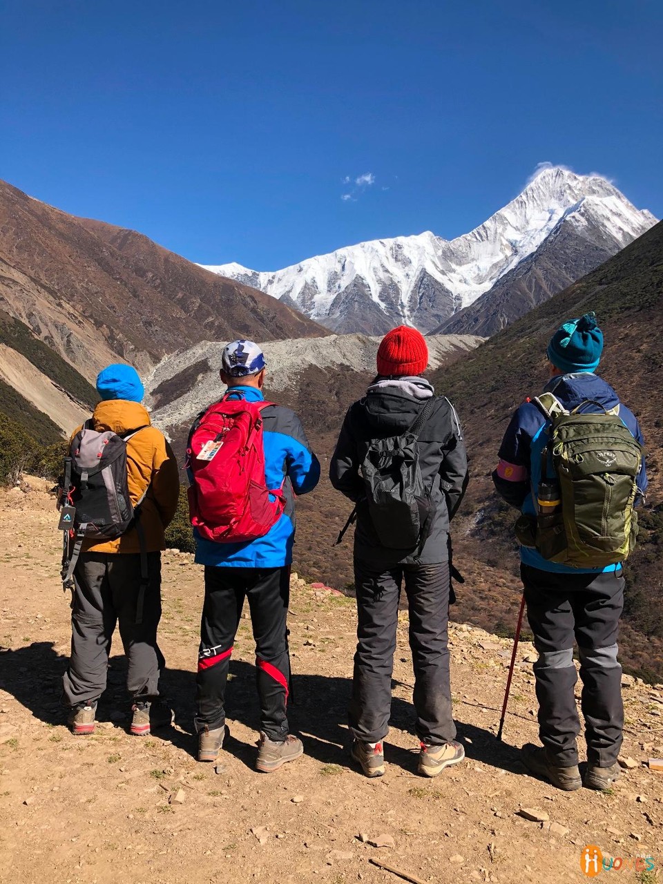 978FF258-693D-4404-8C21-A2A77F41D5B3