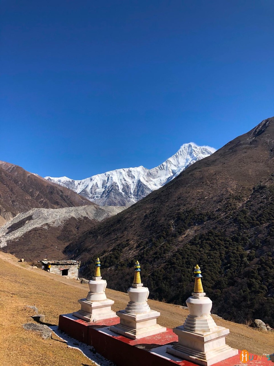 AF8EB93F-1110-4971-8D9C-E002DF230E74