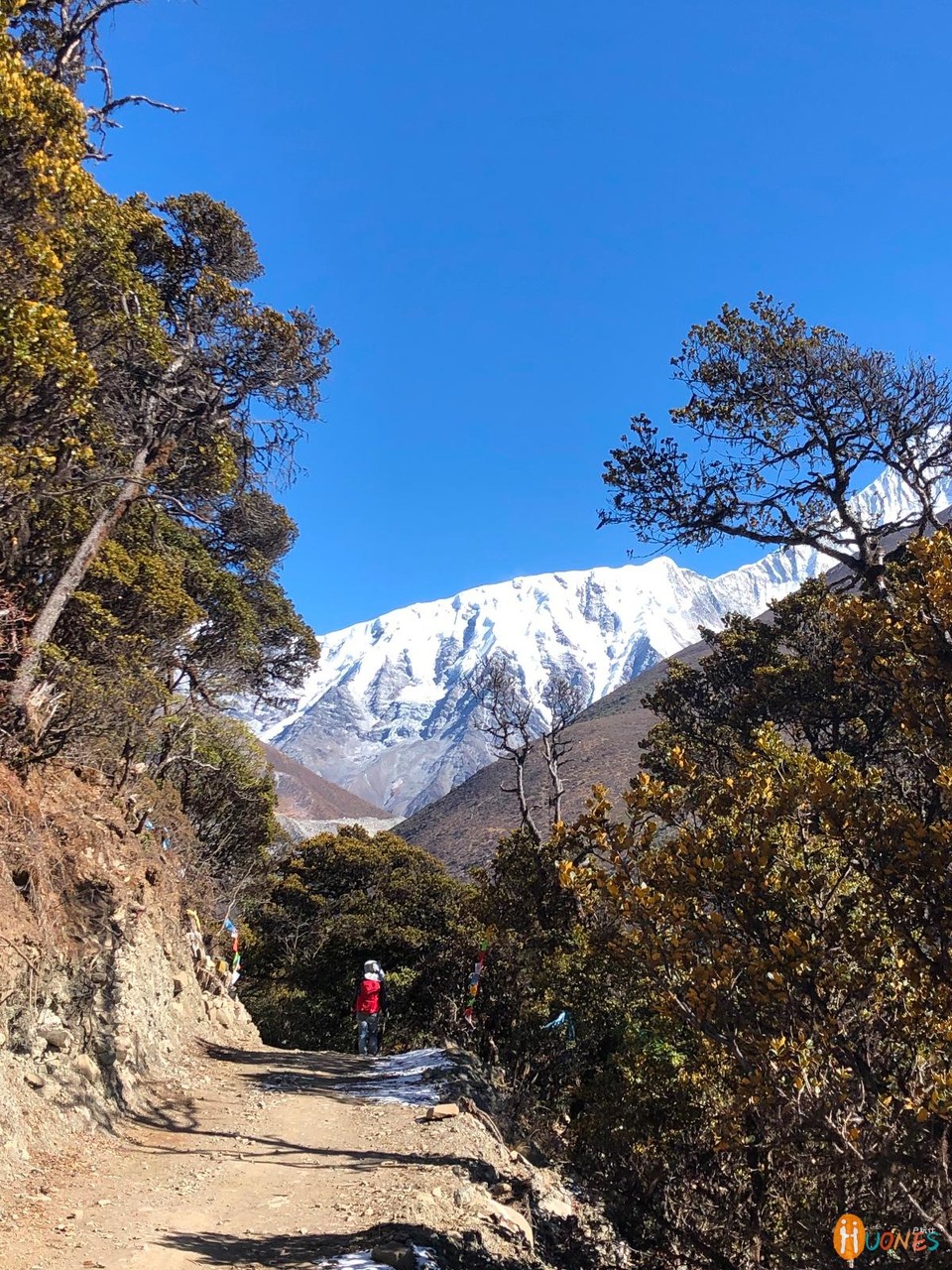 8DBEECC5-B089-4AB7-98FE-64E0071C0FD0