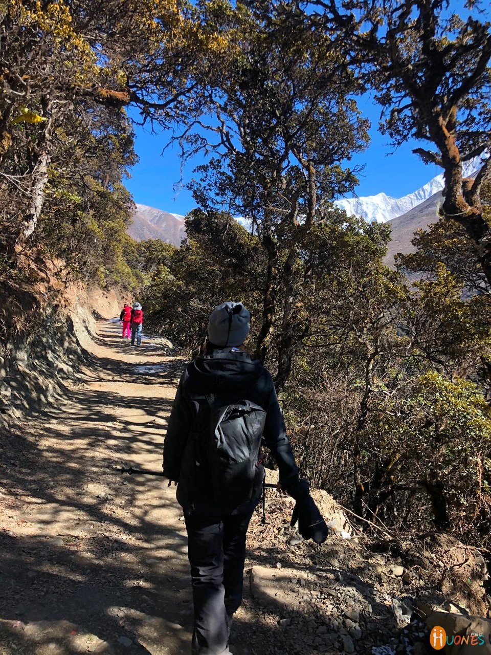 394F9505-F74E-4FF0-BE7E-3B6B81B432E6