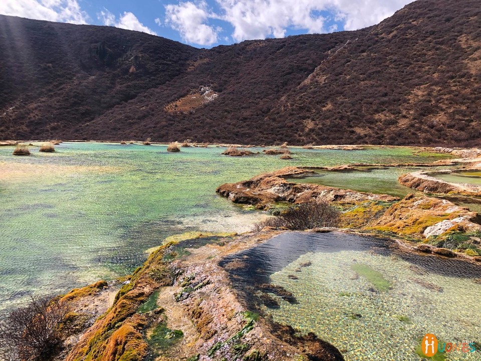 1D899524-97B9-4F64-8171-AFEF623D2807