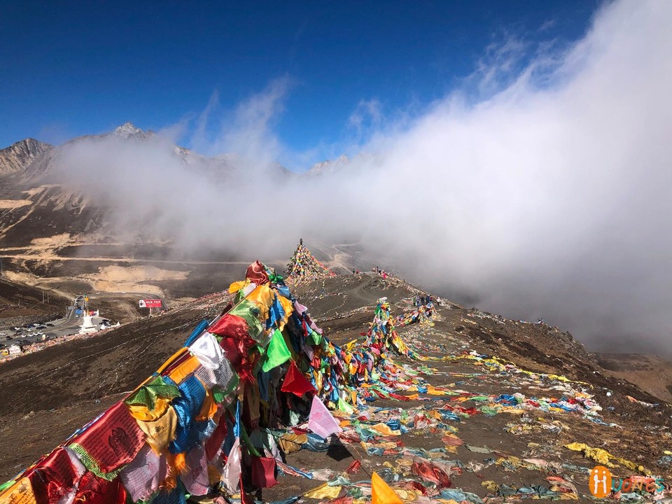 24463D10-ED53-4DAE-8F72-86A2D546FBE5