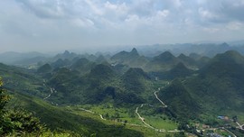 IMG_20210711_124932_mh1625996880623