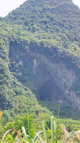 IMG_20210711_141828_mh1625996863675