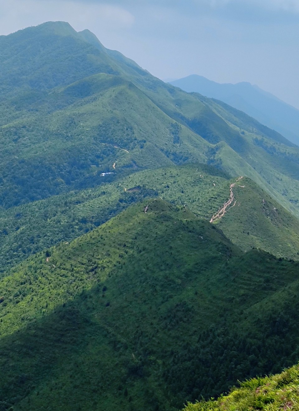 IMG_20210711_121420_mh1625994072026