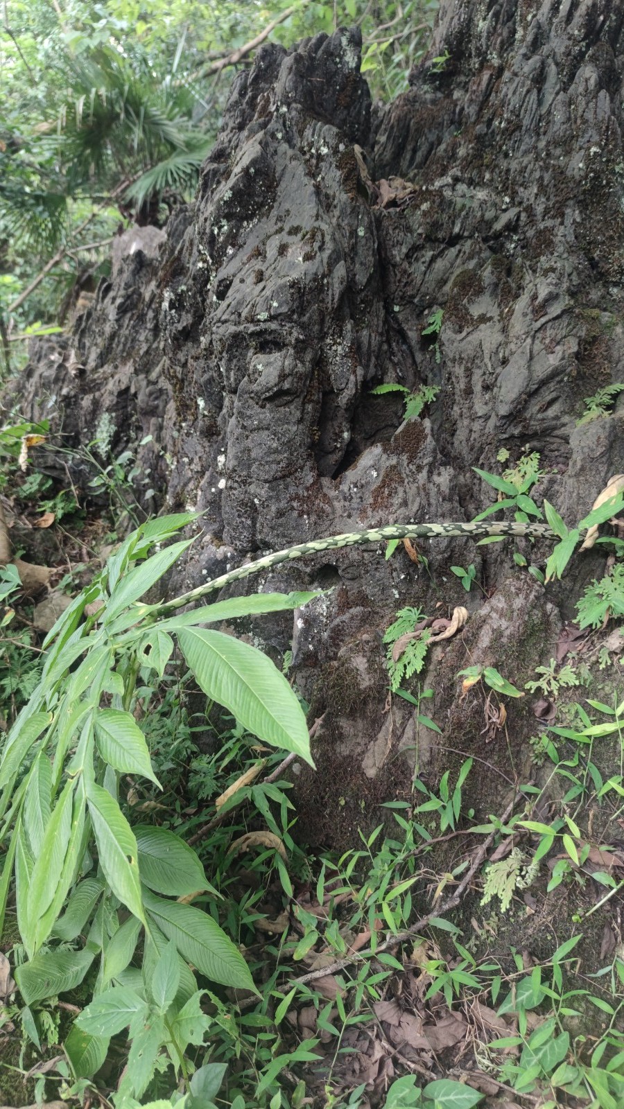 牛湖古道+莫六公山