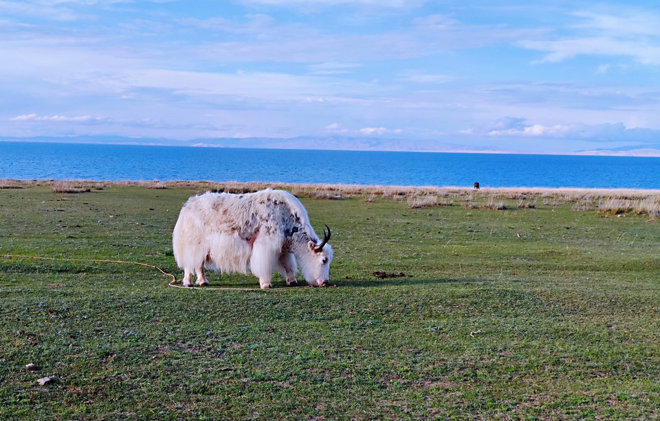 IMG_20210528_185153_mh1622203137389