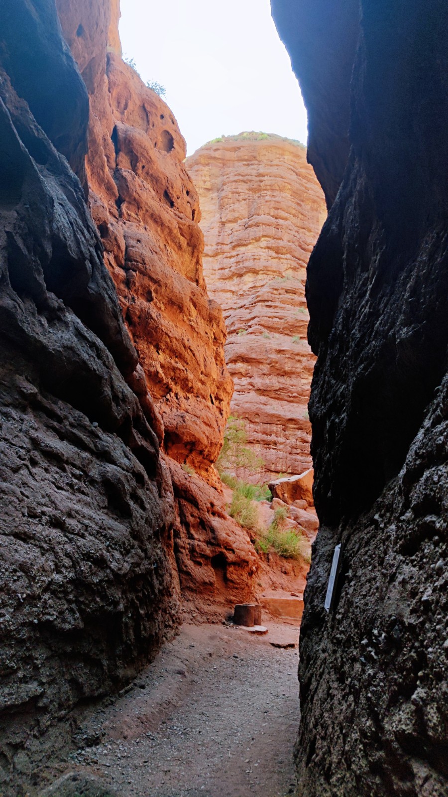 IMG_20210604_174019_mh1622809250362