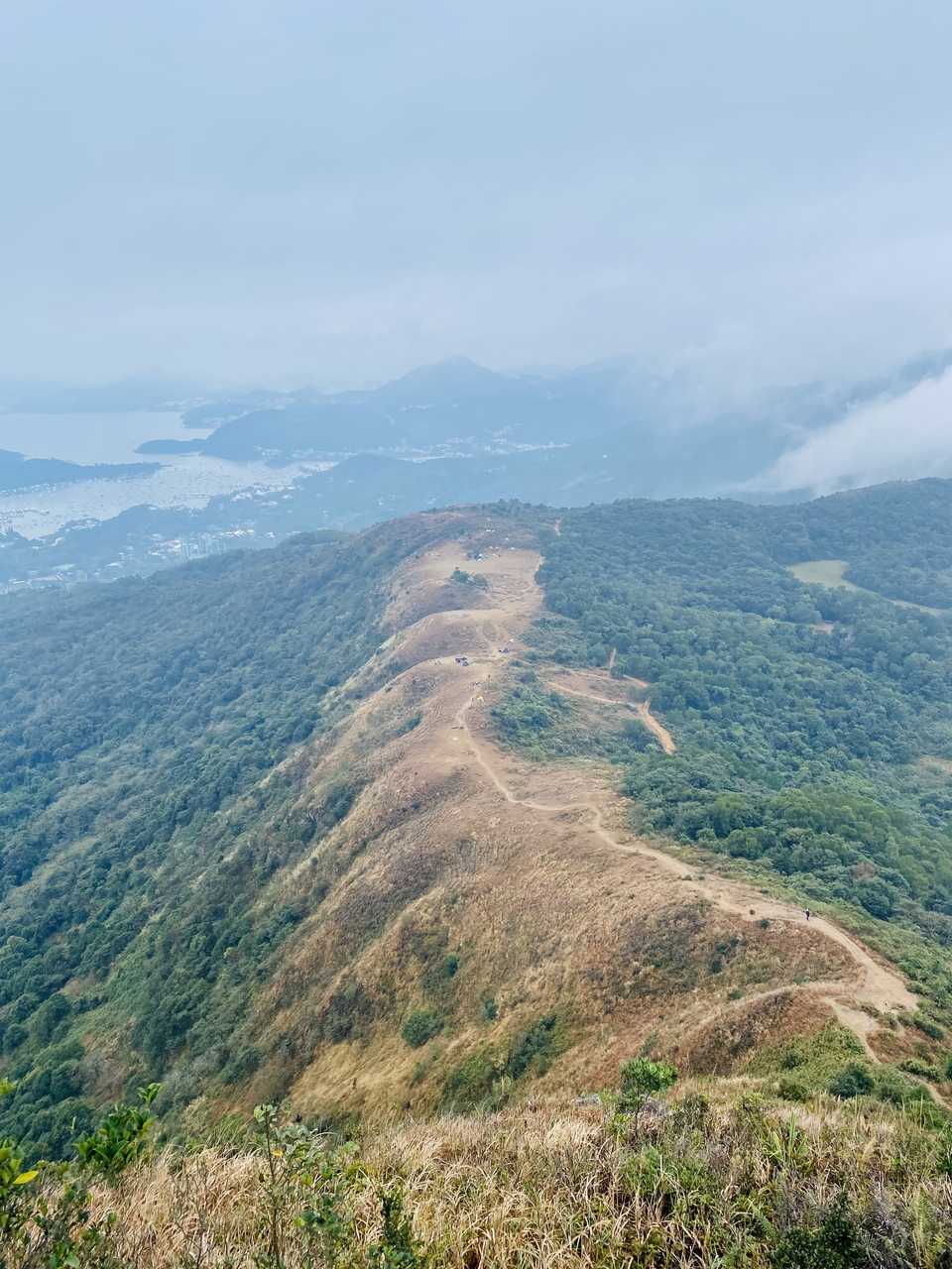 微信图片_20240201103016