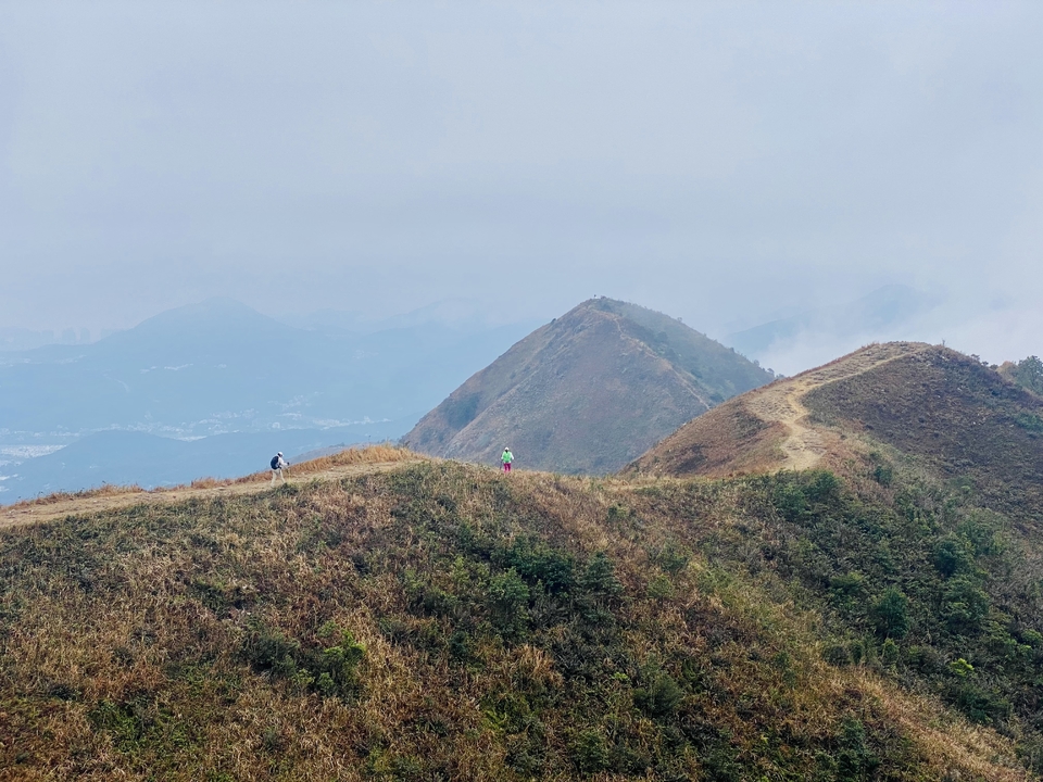 微信图片_20240201103841