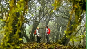 清明节秘境哀牢山 | 昆明 哀牢山 元阳梯田 建水古城 5日活动