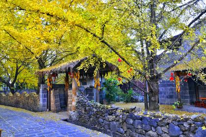 顛西金秋;大理-騰沖銀杏村,和順古鎮,瑞麗八天攝影之旅