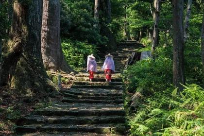 日本熊野古道,纪伊物语间的朝圣之路徒步5天