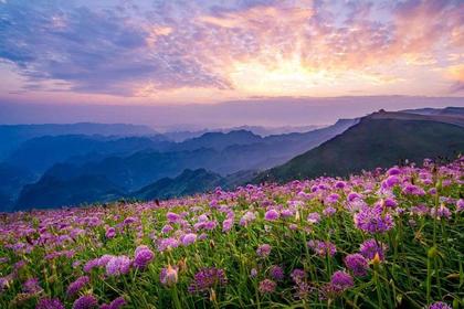 8.30玩野貴州|云上花海6天5晚輕徒步旅行