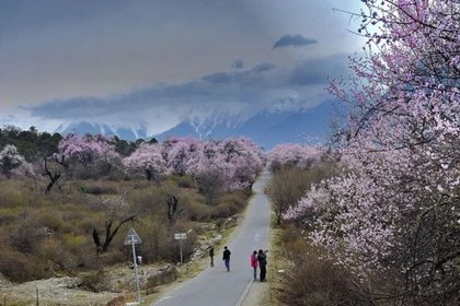 2023千山暮雪 醉美西藏--桃花節尊享活動6天5晚