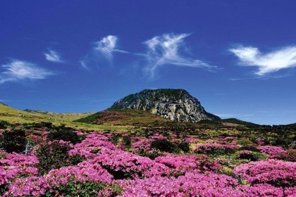 韩国济州岛徒步 | 登顶韩国最高峰—汉拿山