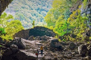 旷野贵州 | 贵州茂兰漏斗森林+四洞天穿越+猴子沟+螺丝壳徒步5日