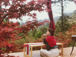 【成行招募中】11.1/2日岭南红叶世界赏醉美红枫、天空之境美拍、高山茶园、魔法森林、童趣咩咩谷一日游