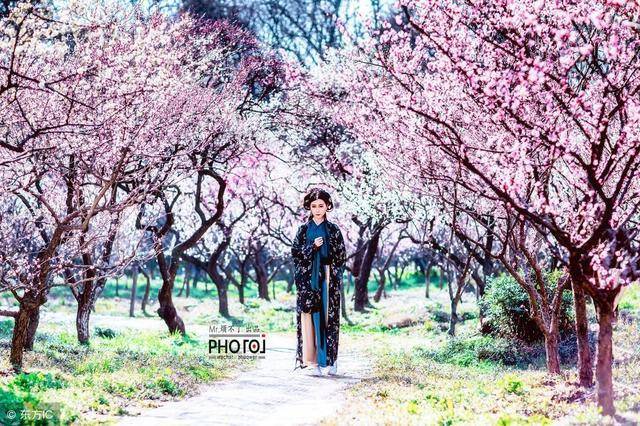 2019日本全境樱花开花预测,赏樱推荐!