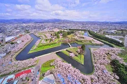 2019日本全境樱花开花预测，赏樱推荐！