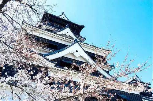 2019日本全境樱花开花预测,赏樱推荐!