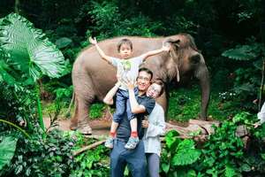 【2026寒假】西双版纳 5 日亲子营|专属PBL+STEAM 任务式学习，原始森林公园研学通道+野象谷 vip 体验