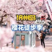 济州樱花节｜偶来小径与汉拿山的约定6天
