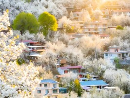 寻春纪·金川梨花万树金川雪，百里小环春4天3晚