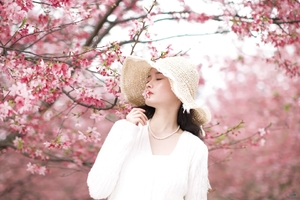 【樱遇莽山高铁3日】桂阳樱花+莽山五指峰云海栈道+九龙水寨+高椅岭+阳山古村+裕后街