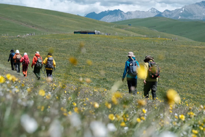 【行走·喀拉峻大环/+赛里木湖】走进天山腹地，探索北疆草原秘境6天5晚