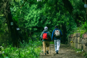 【成行招募】5.1遇见川北、探行千年人文古道5日深度旅徒