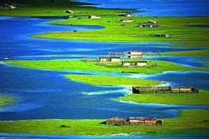 云南秘境｜千湖山，纳帕海、格拉丹天上草原、剑川、九十九龙潭花海