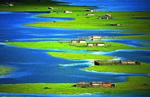云南秘境｜千湖山，納帕海、格拉丹天上草原、劍川、九十九龍潭花海