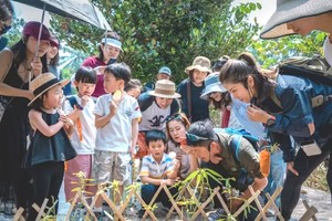 西双版纳5日亲子营|专属PBL项目式学习&野象谷 +中科院植物园-夜探植物园+基诺山雨林探秘&5钻酒店4晚连住