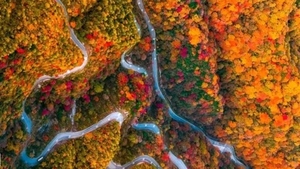 摄秋中国｜10.24号-30号：光雾山、米仓山、十八月潭、阆中古城、剑门关、翠云廊、千佛崖、明月峡、青木川古镇、金牛古道