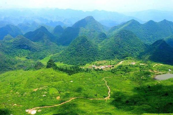 【新线●莫六公山】5.2~3“穿越千年古道，行走阳山屋脊+高山草甸2天徒步之旅438元